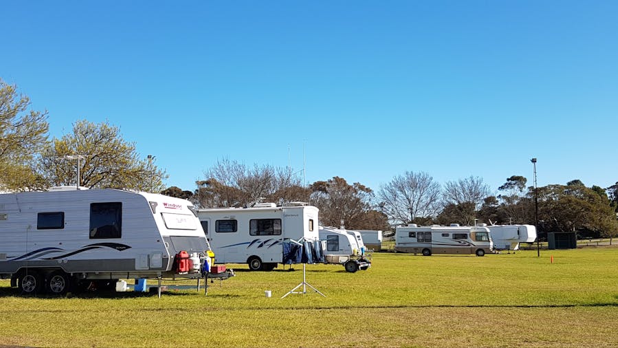 Murray Bridge Show Grounds - RV Friendly Camping