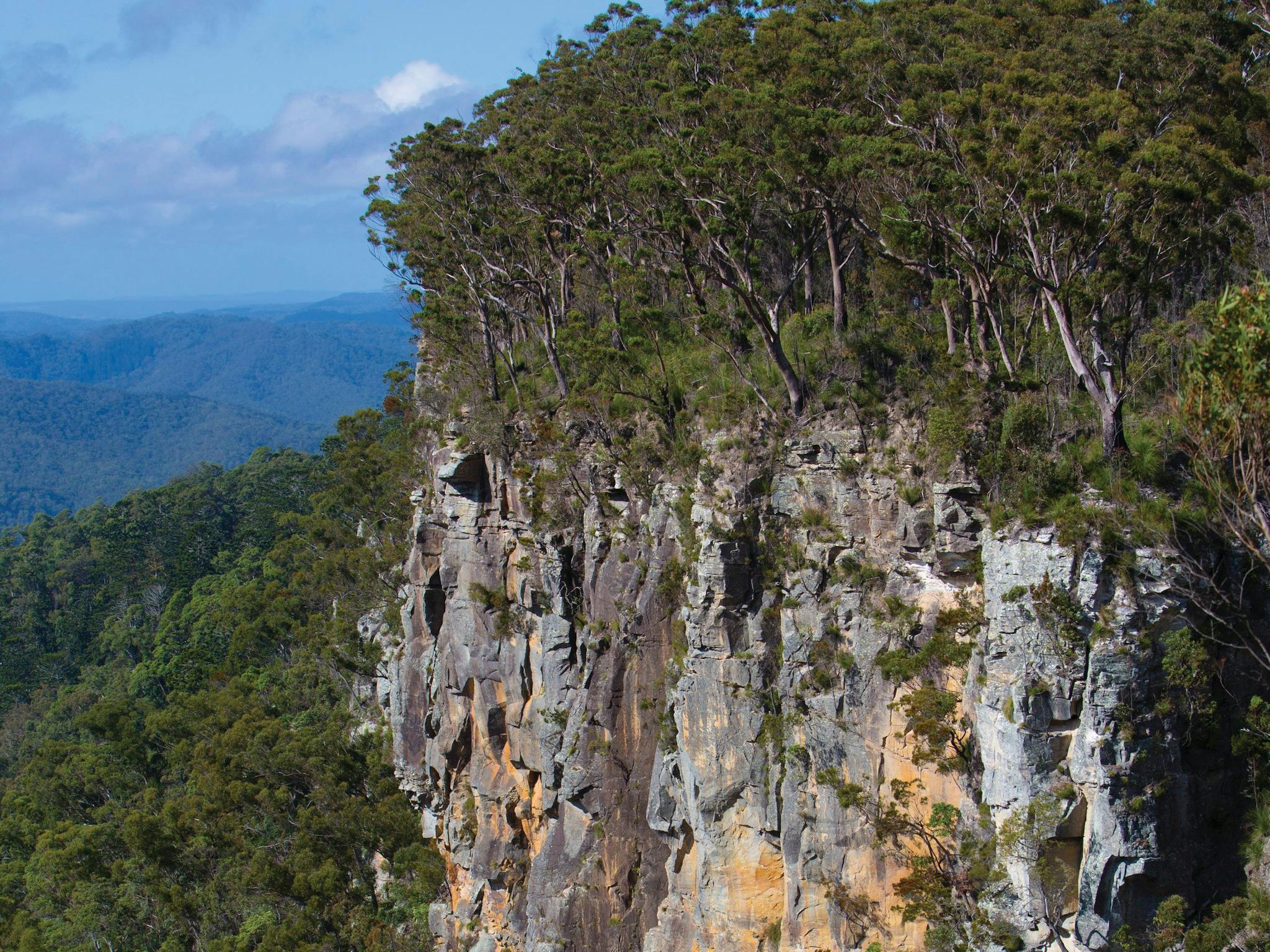 Kroombit Tops National Park