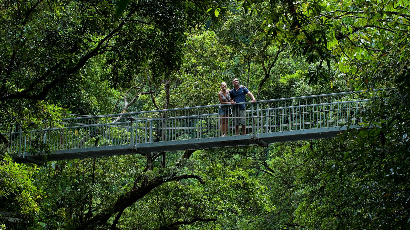 Swing Bridge, Mossman Gorge