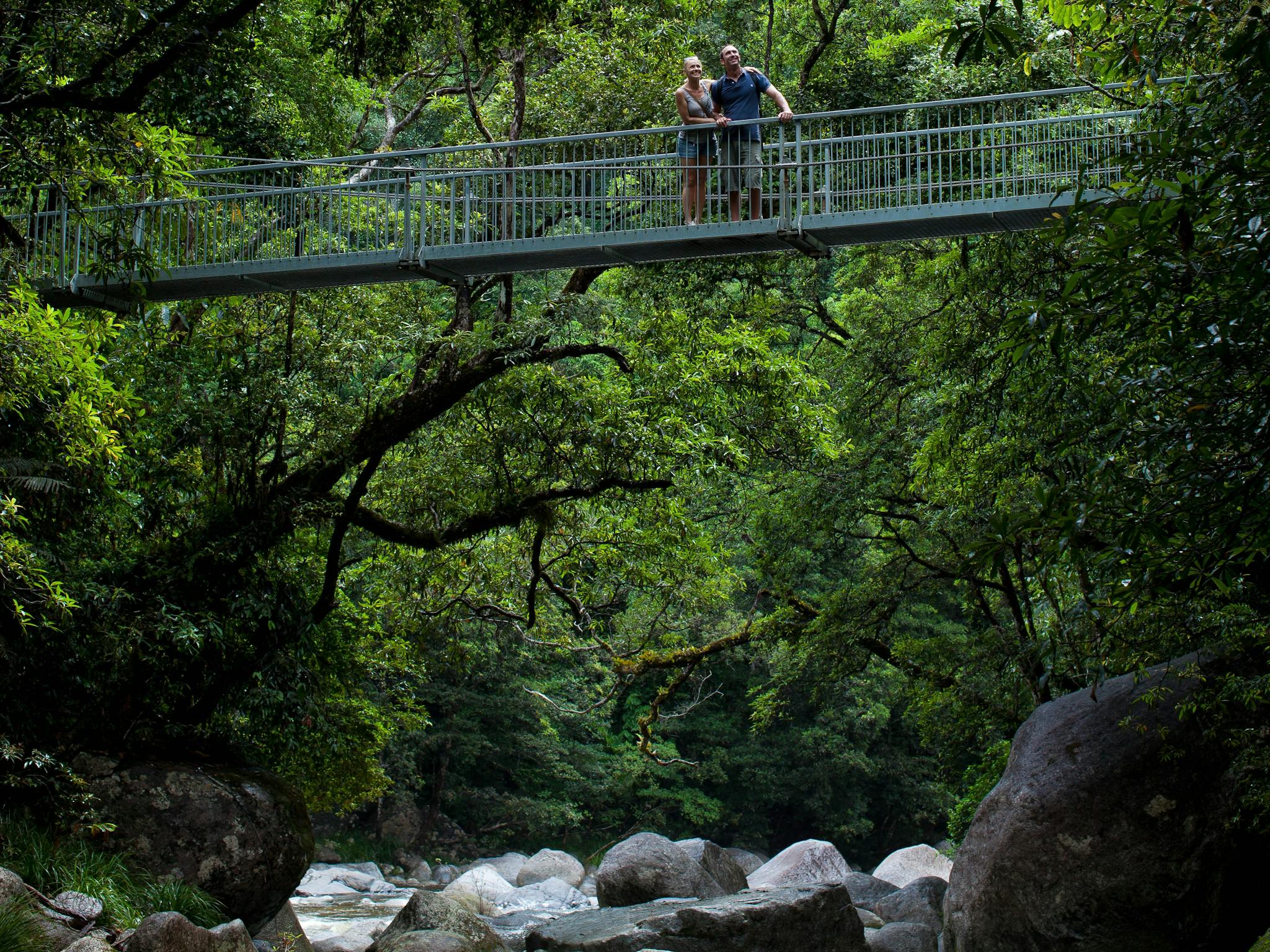 Swing Bridge, Mossman Gorge Swing Bridge, Mossman Gorge