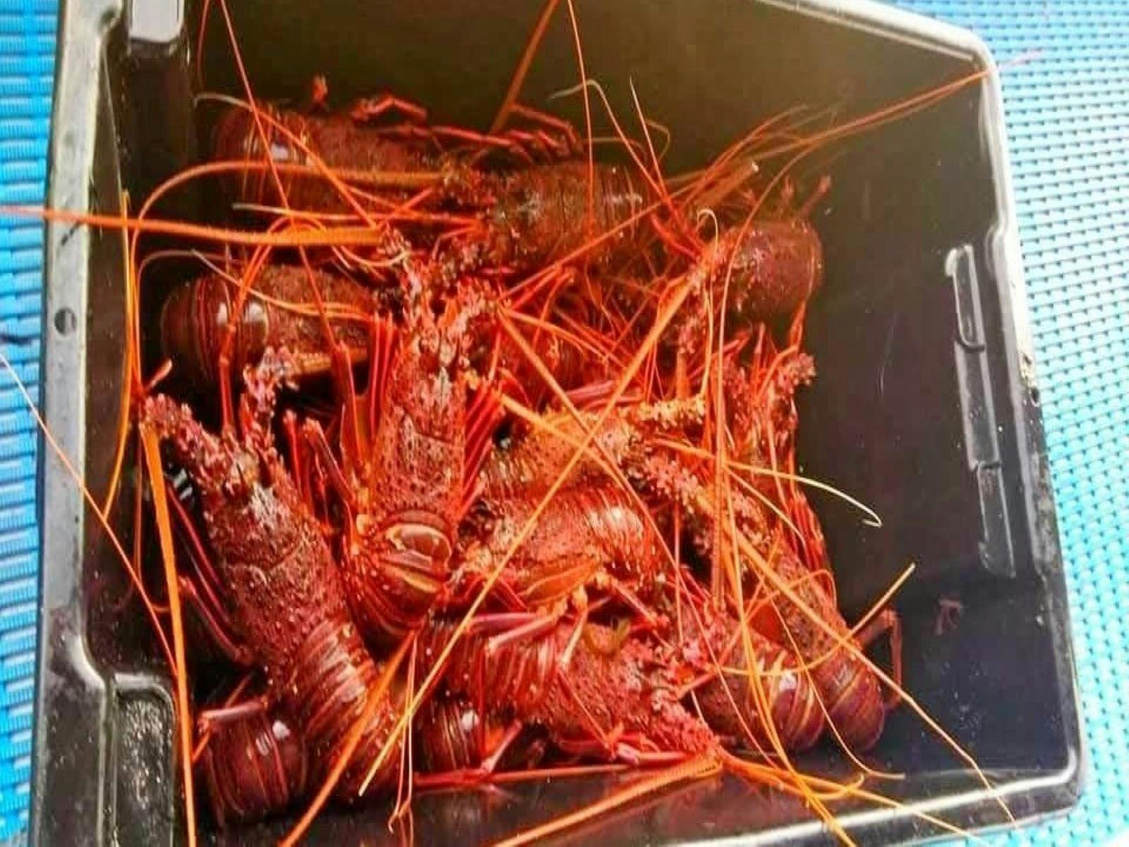 Offshore Charters WA, Geraldton, Western Australia