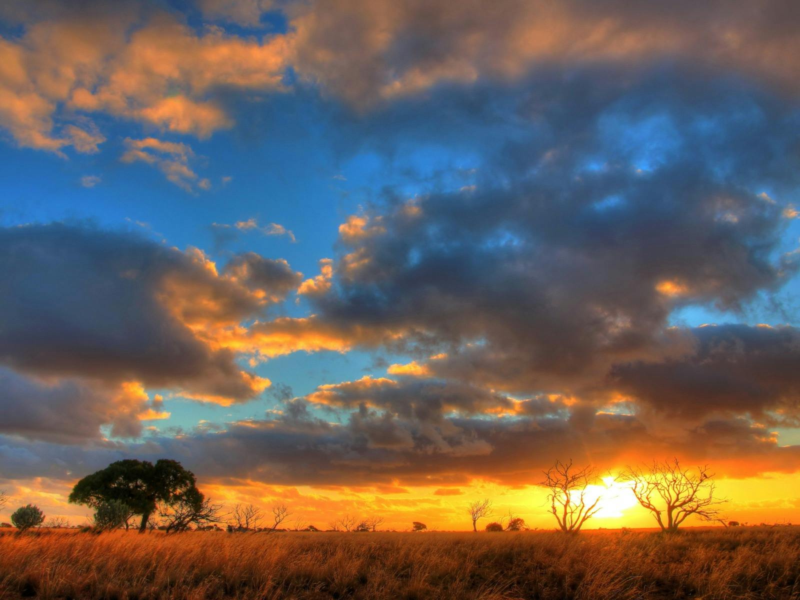 sunset on spinifex plains