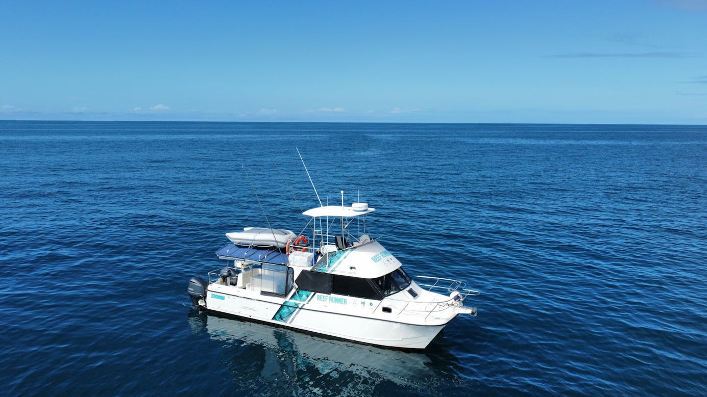 Reef Runner Charters | Cairns & Great Barrier Reef