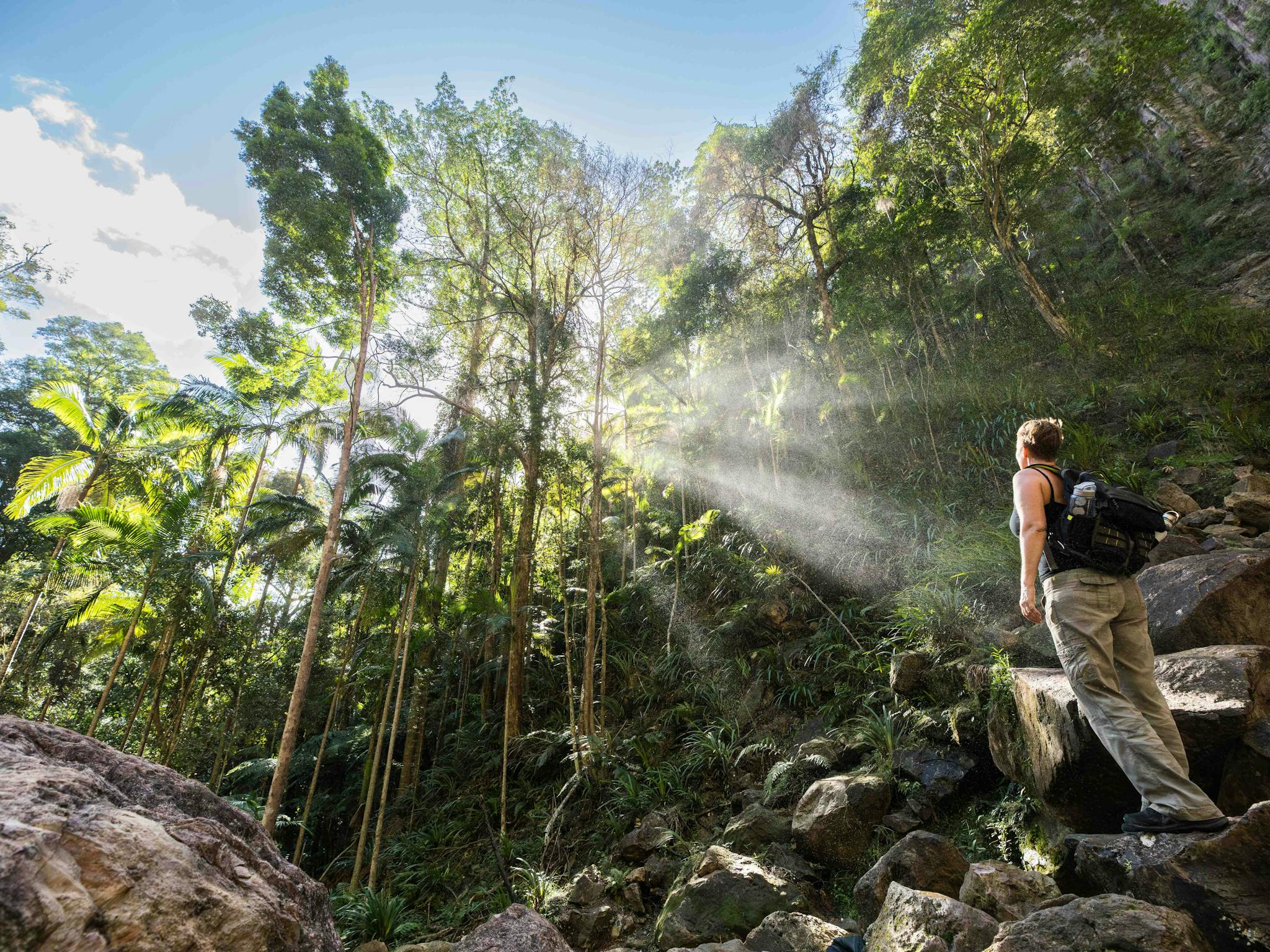Hiker admiring the stunning hike to the falls
