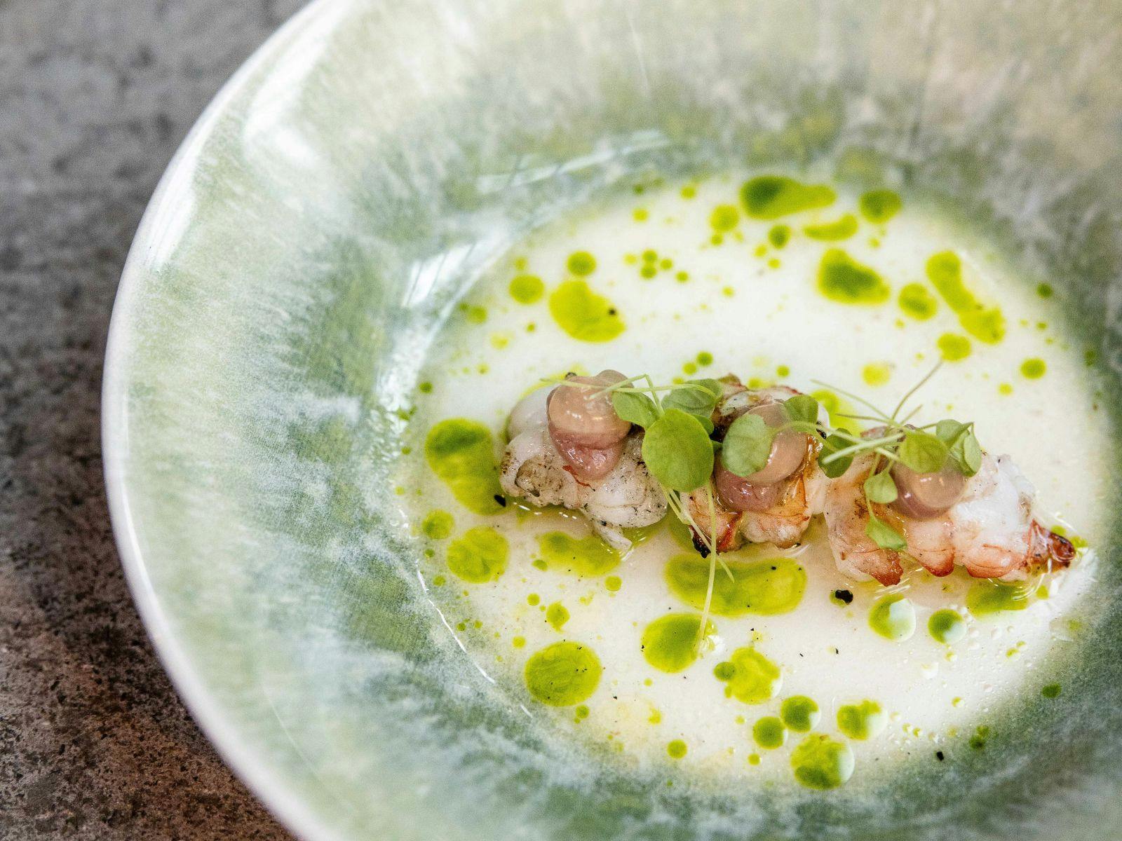 Plate with a piece of scampi covered in micro herbs and green oil