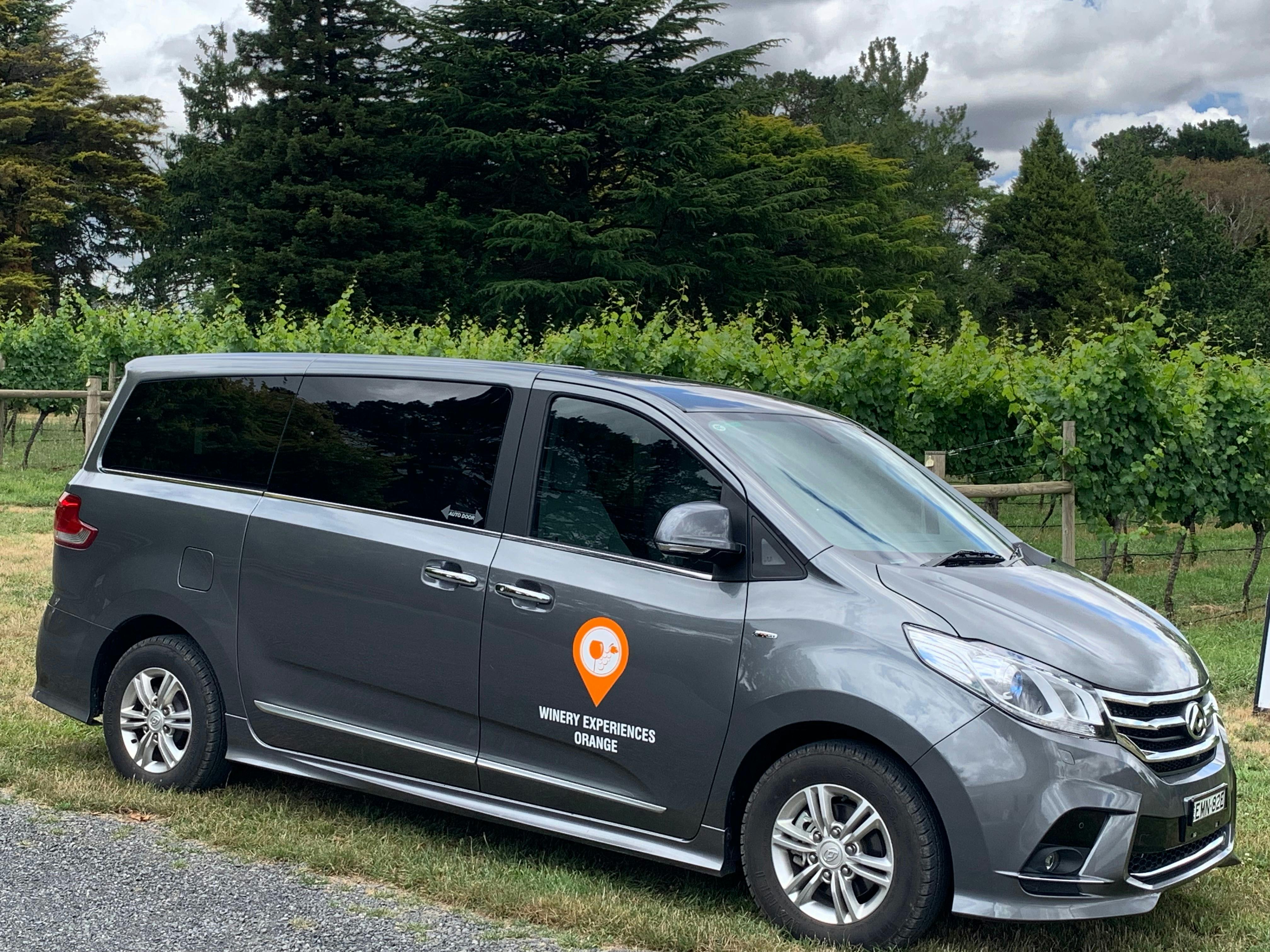 Luxury private van