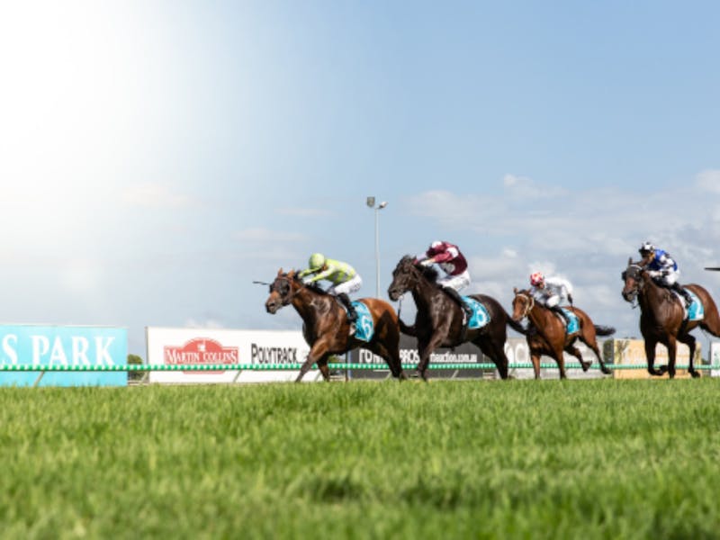 Image for Caulfield Guineas Raceday at Aquis Park