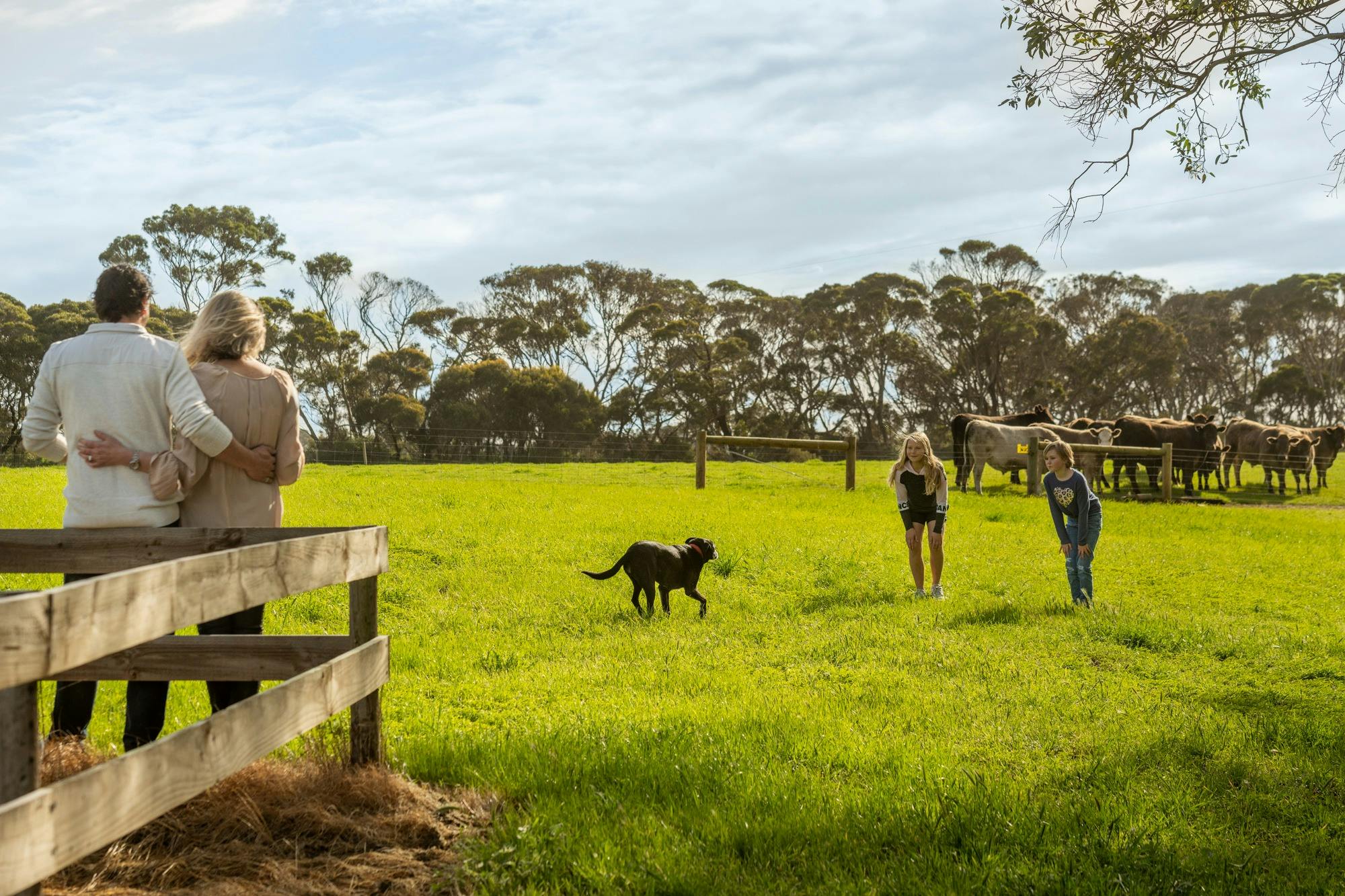 Relax outdoors at The Islander Estate Vineyards tasting room