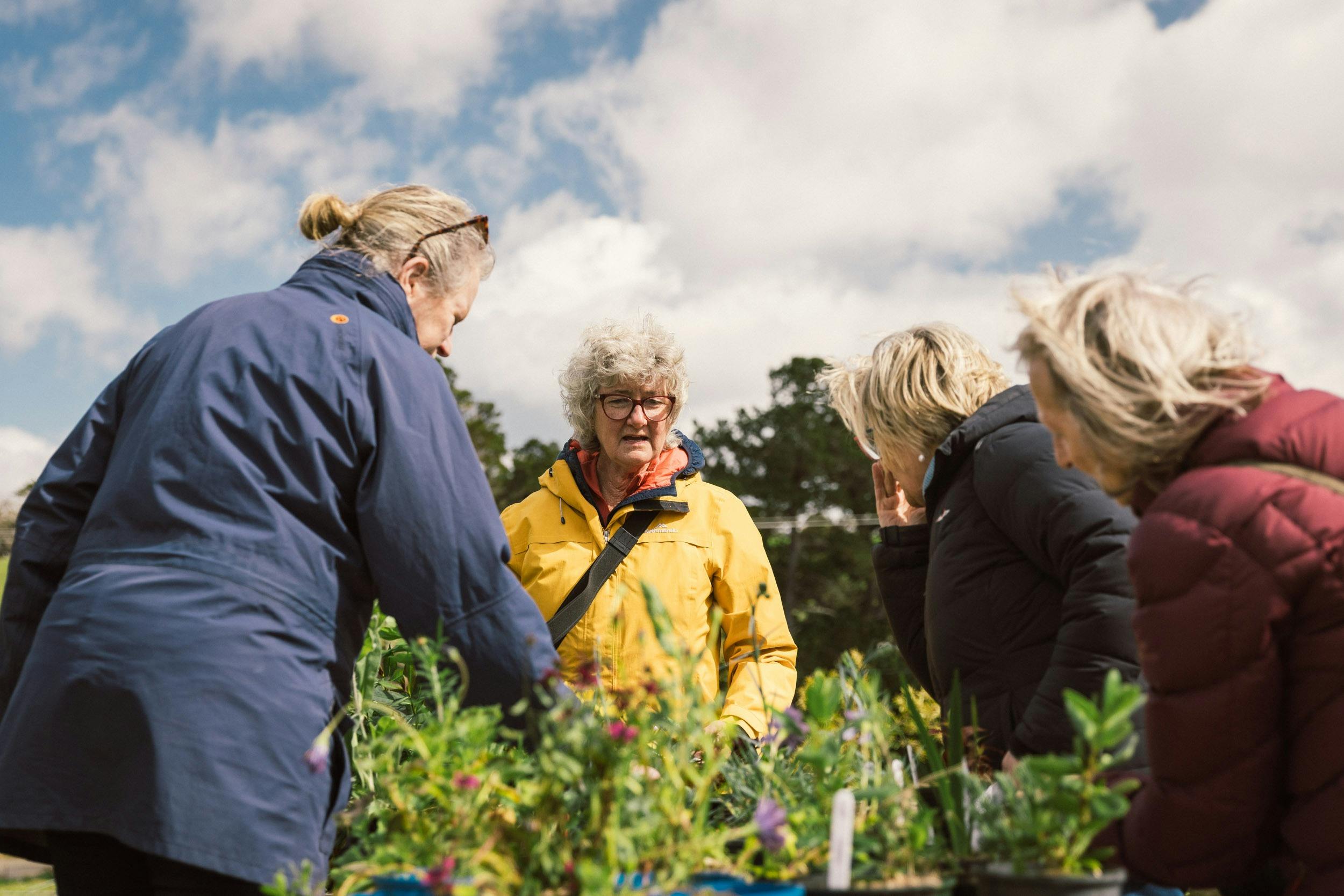 A group of women cluster around a plant stall.