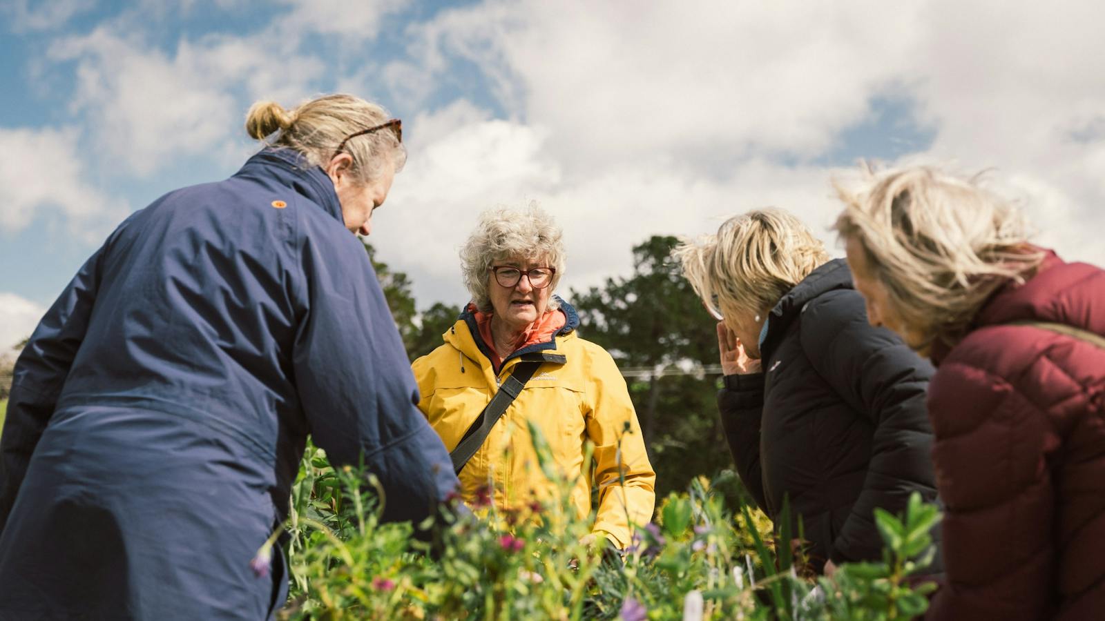 Plant Sale