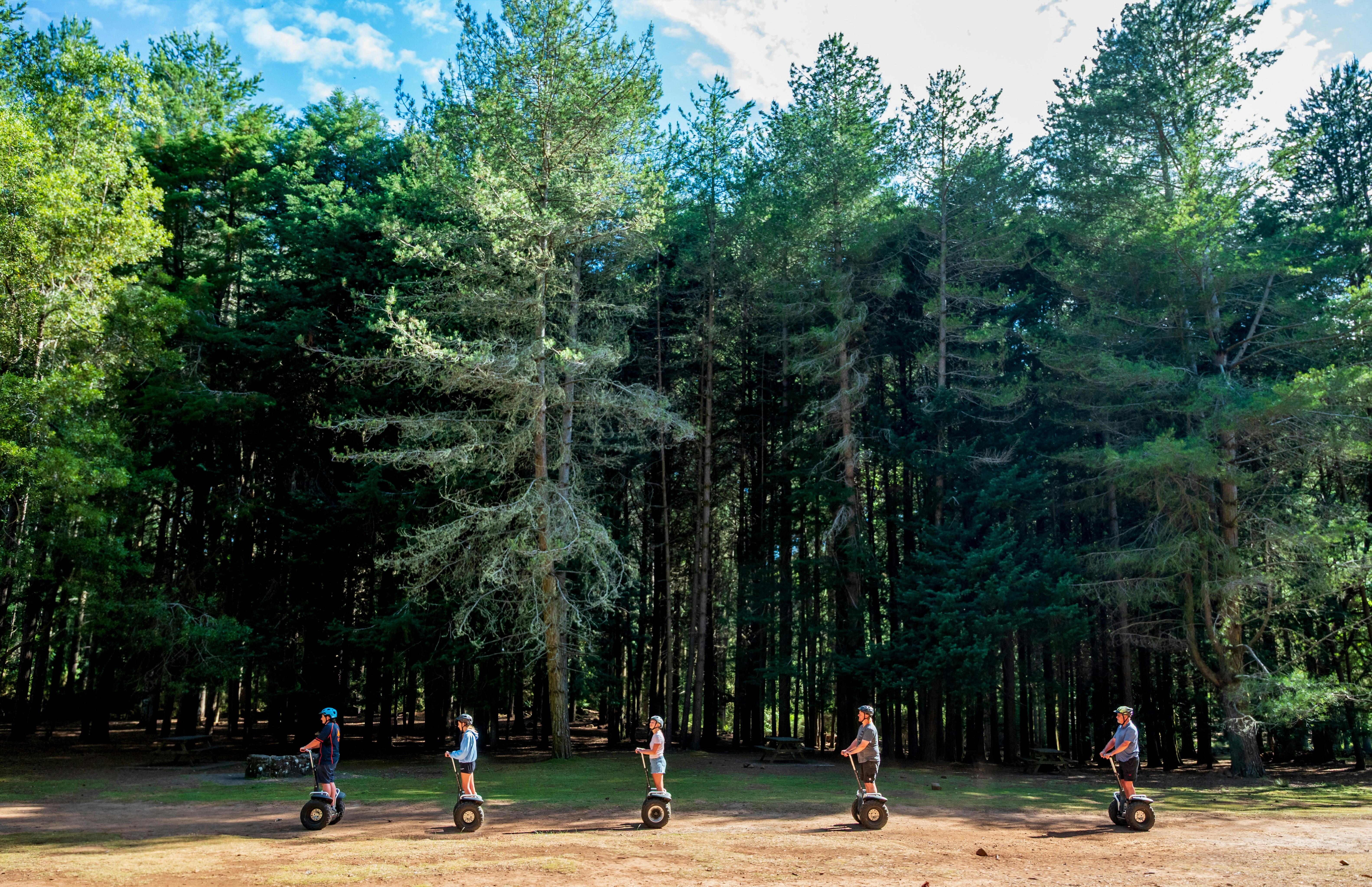 Treetops Hollybank Segway Tour
