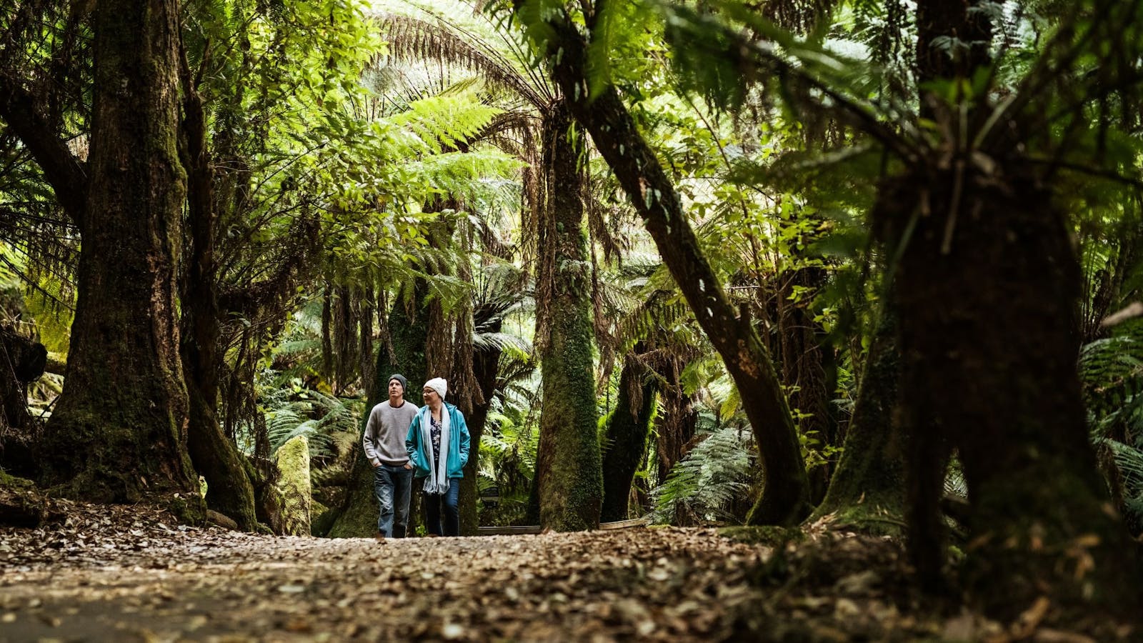 a short walk from the Cafe, through fern lined paths, is the gorgeous Russell Falls.