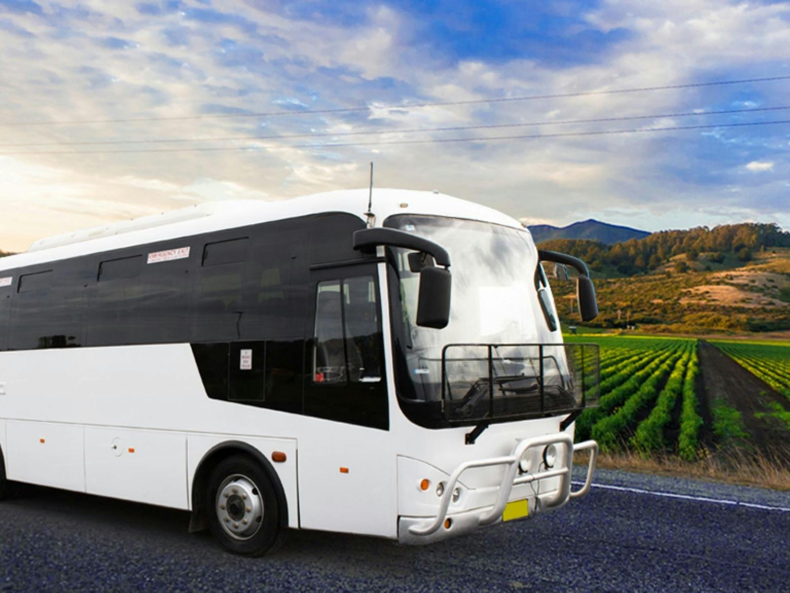 Steve's Ballina Byron Transport