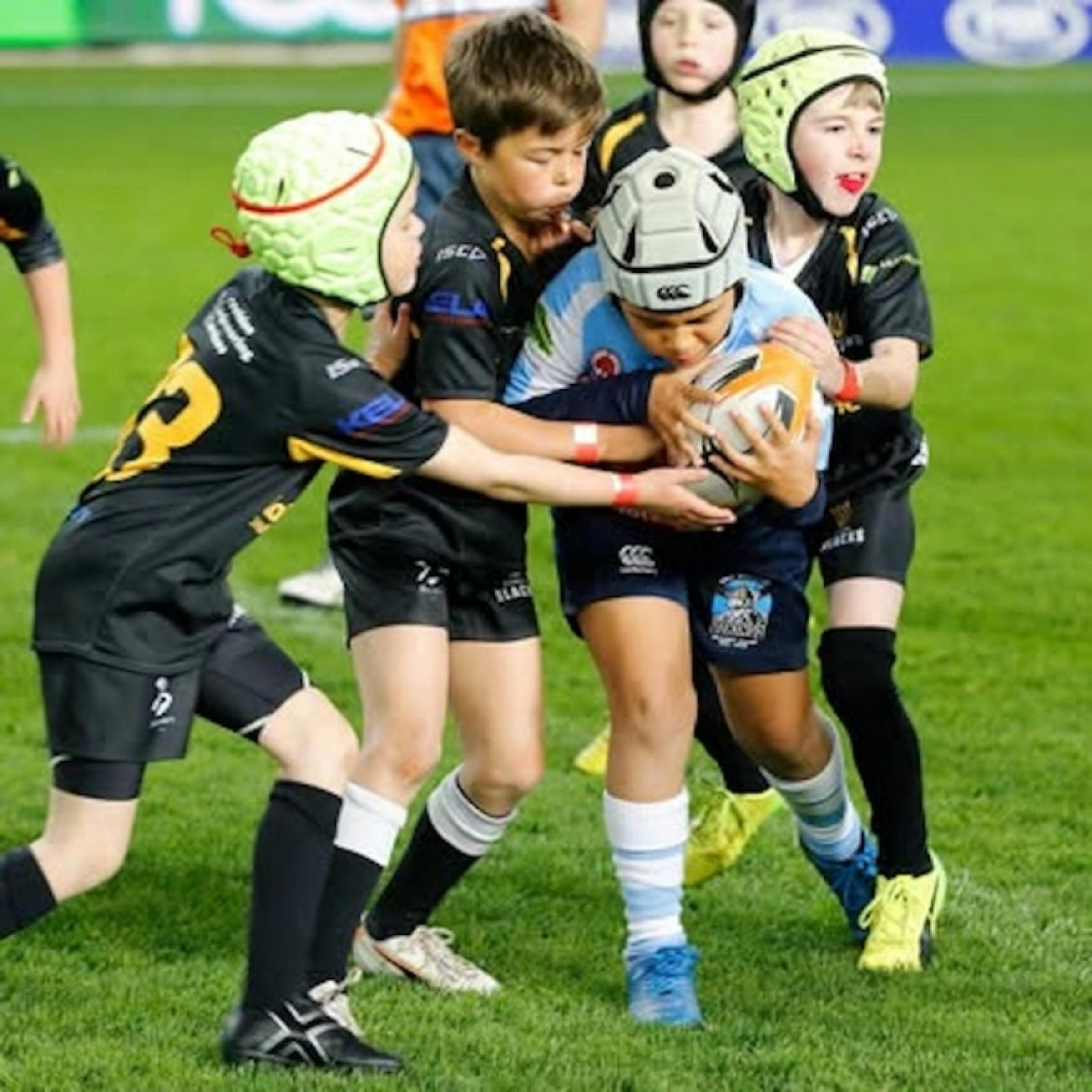 Southern Highlands 7's