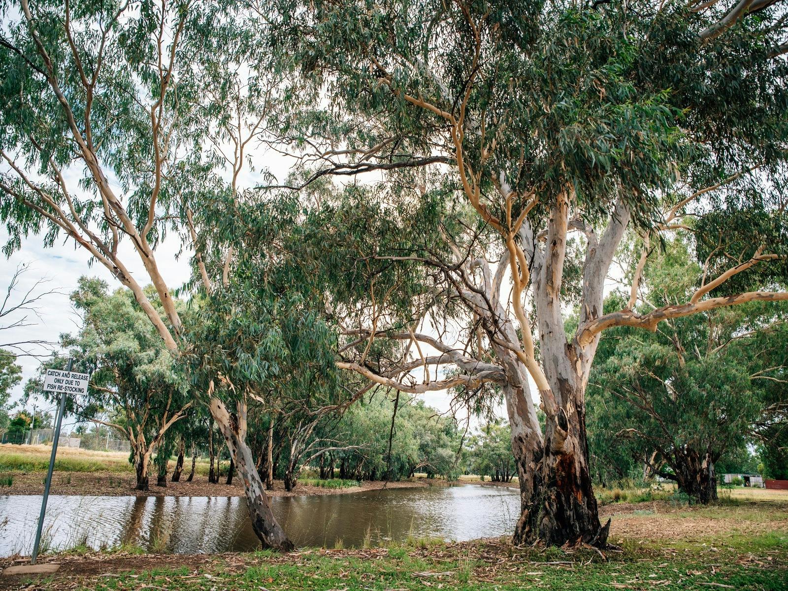 Sadleir's Waterhole