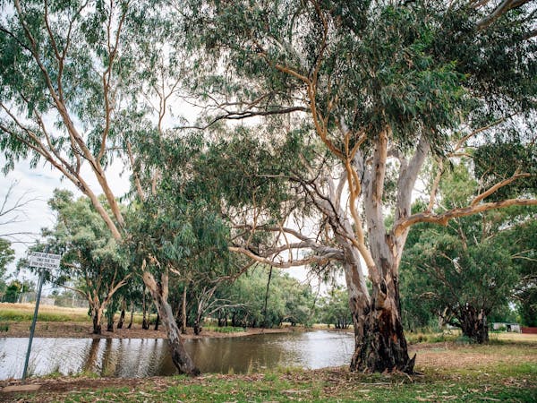 Sadleir's Waterhole