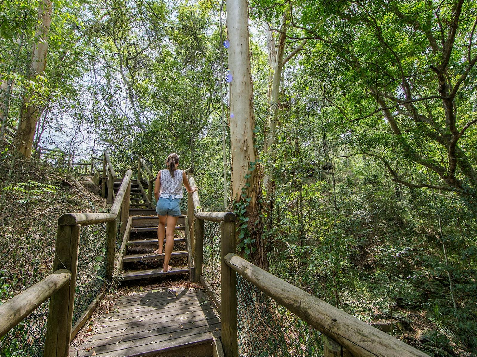 Hiker ascending forest trail stairs at Kumbartcho Sanctuary, surrounded by lush greenery Hiker ascending forest trail stairs at Kumbartcho Sanctuary, surrounded by lush greenery