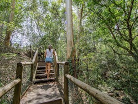 Hiker ascending forest trail stairs at Kumbartcho Sanctuary, surrounded by lush greenery