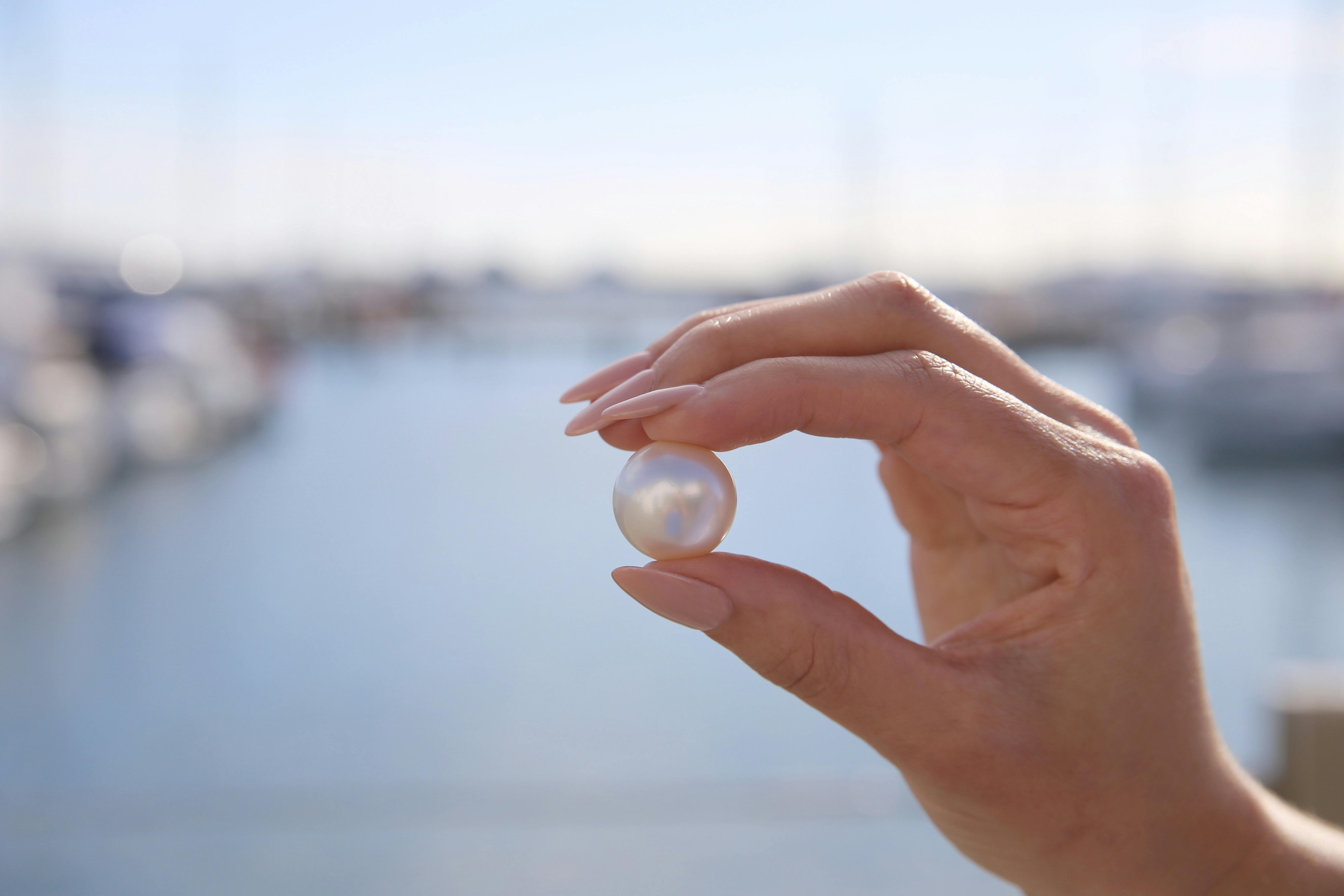 Willie Creek Pearls Hillarys Showroom