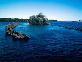 Garden Island Ships