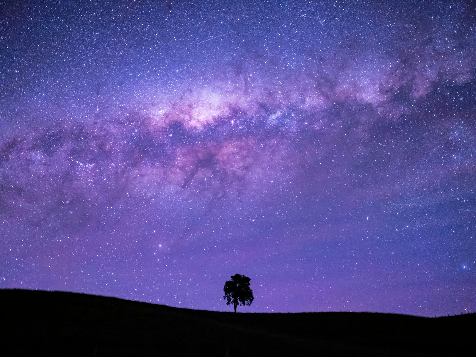 Taylors Arm Reserve Camping Area