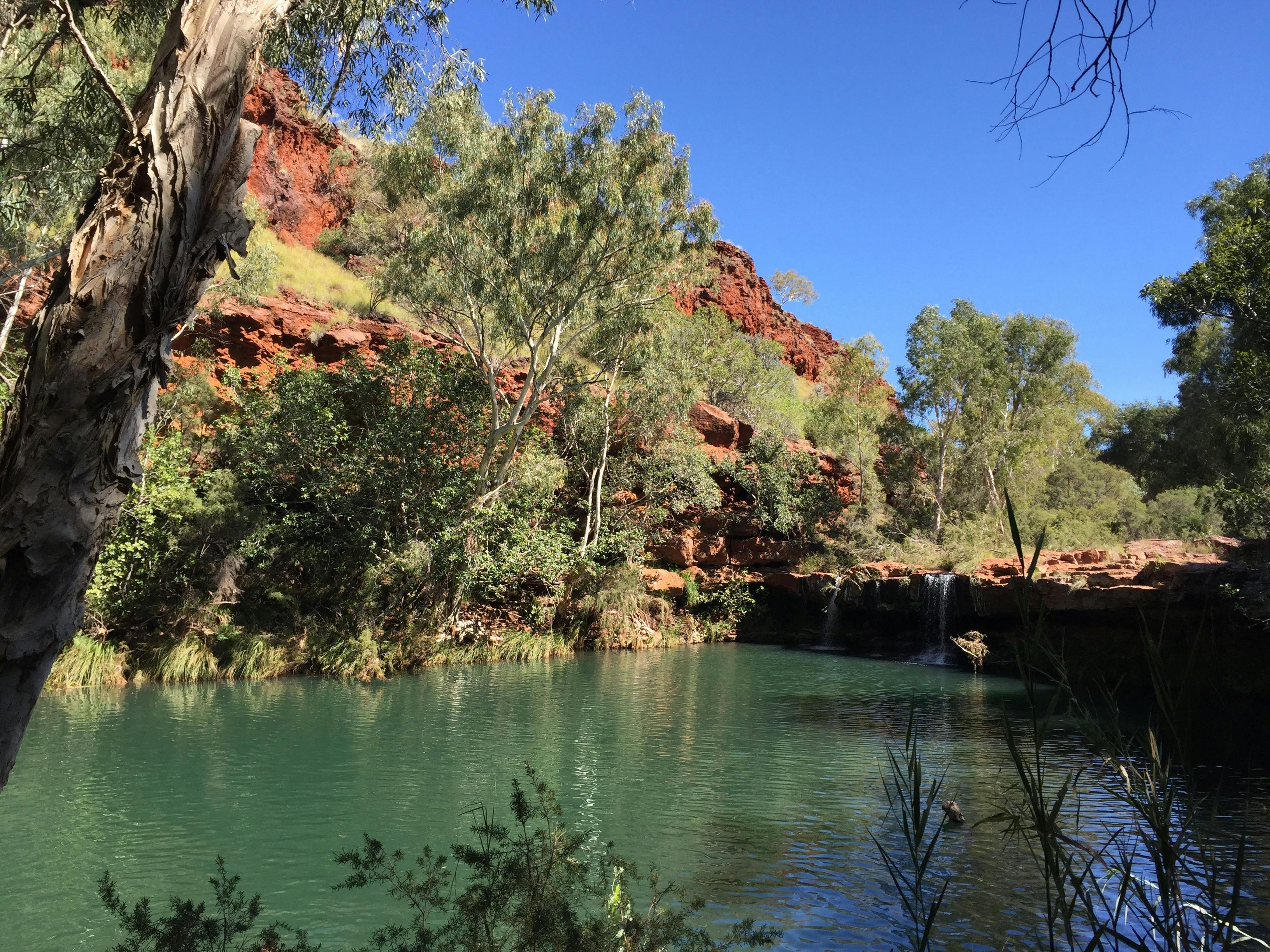 WA NT Tours, Willagee, Western Australia