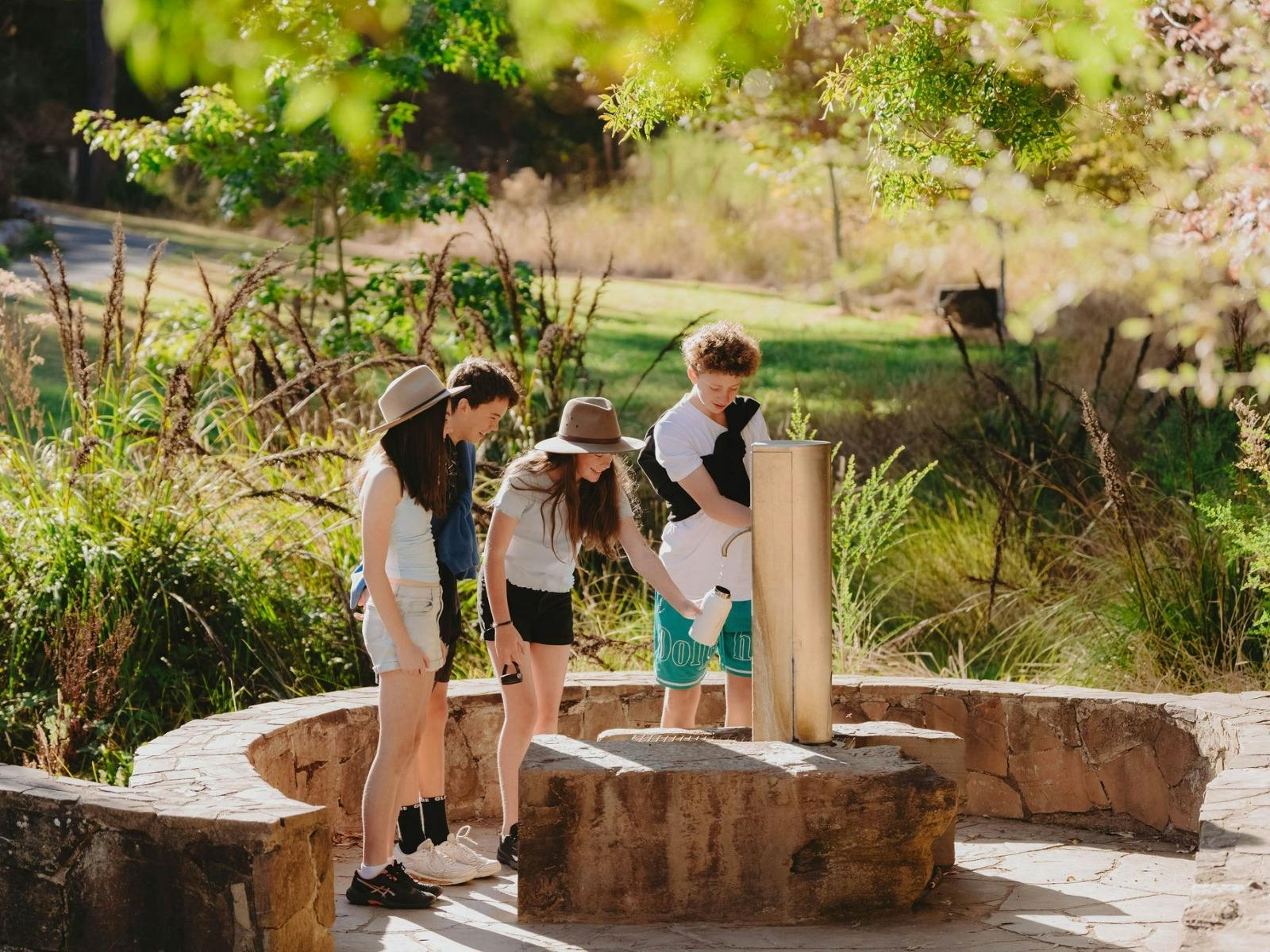 Hepburn Mineral Springs Reserve