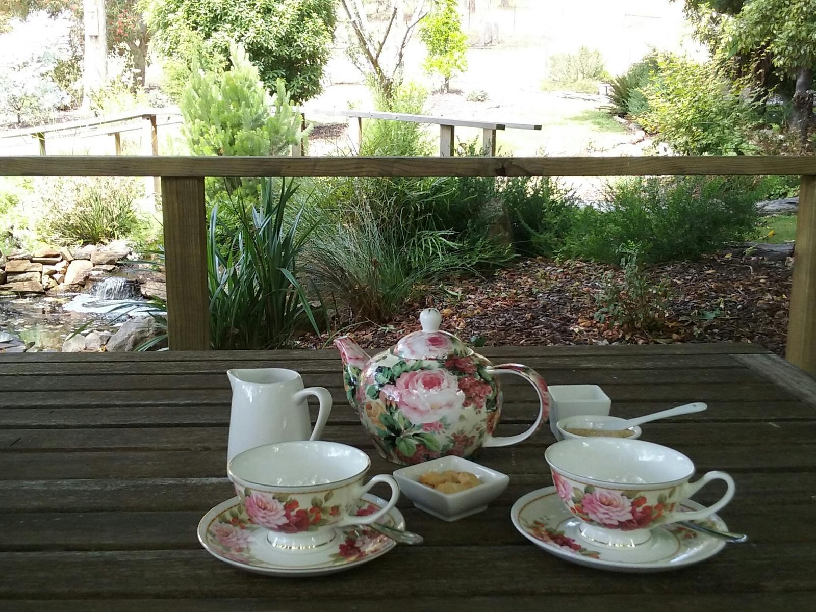 Floral teapot and cups ready to be served on the deck in front of our small ornamental pond