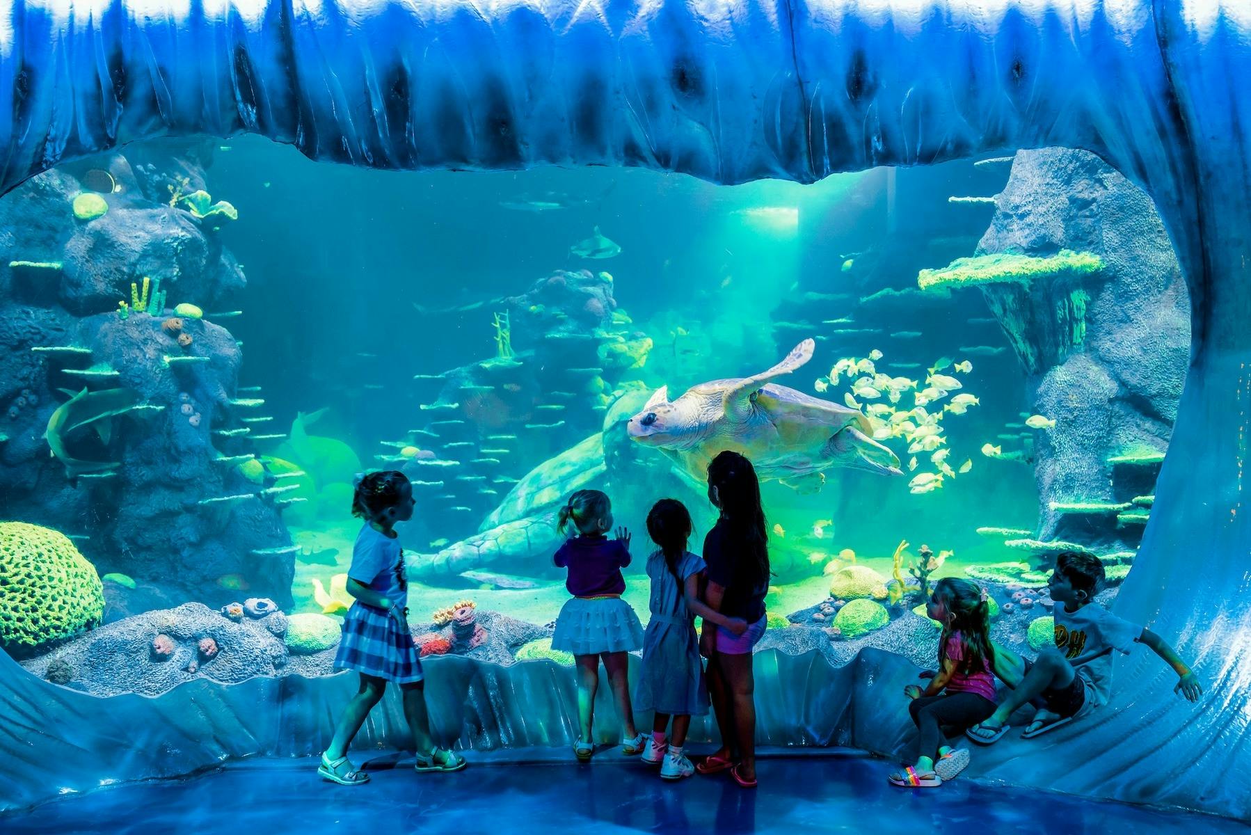 SEA LIFE Sydney Aquarium
