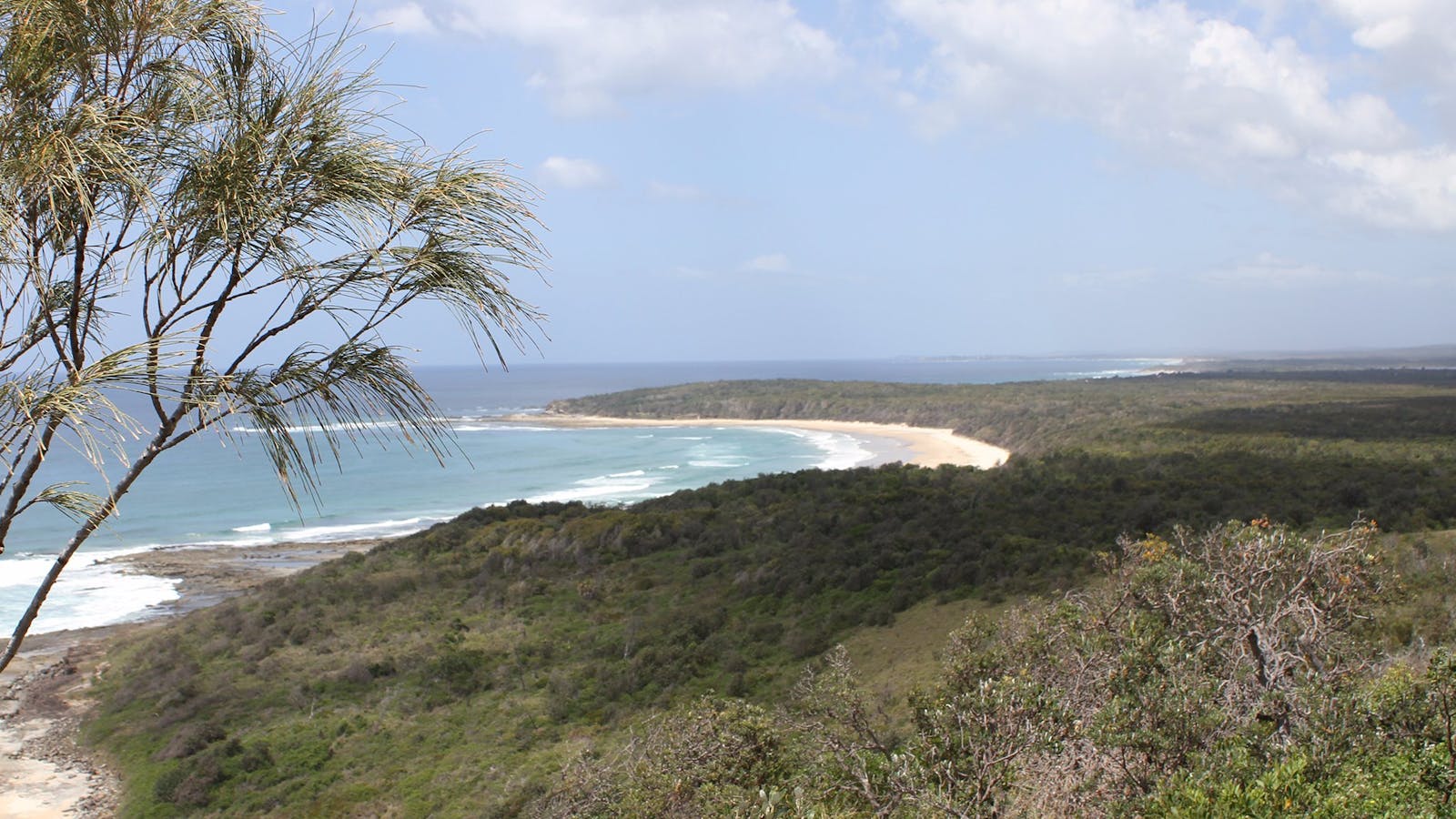 Shelley Beach