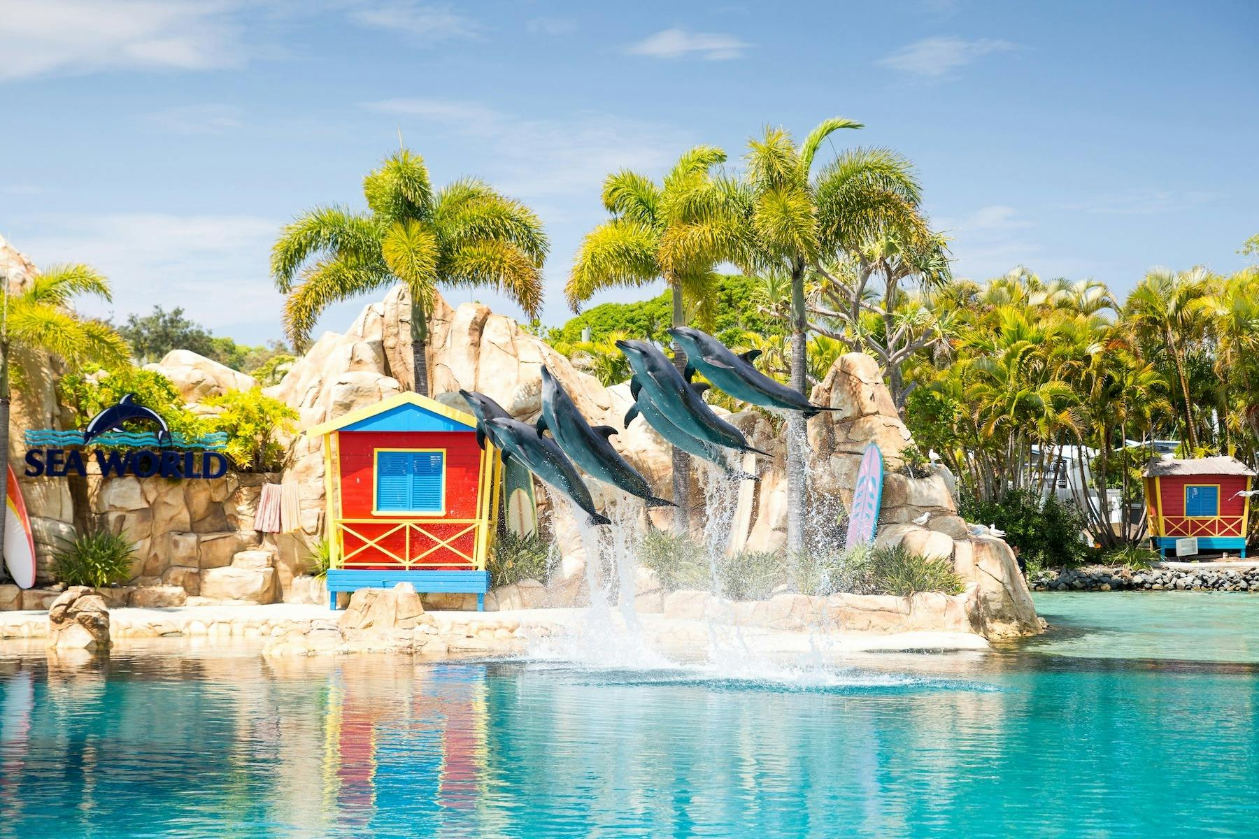 Dolphin Show at Sea World Theme Park