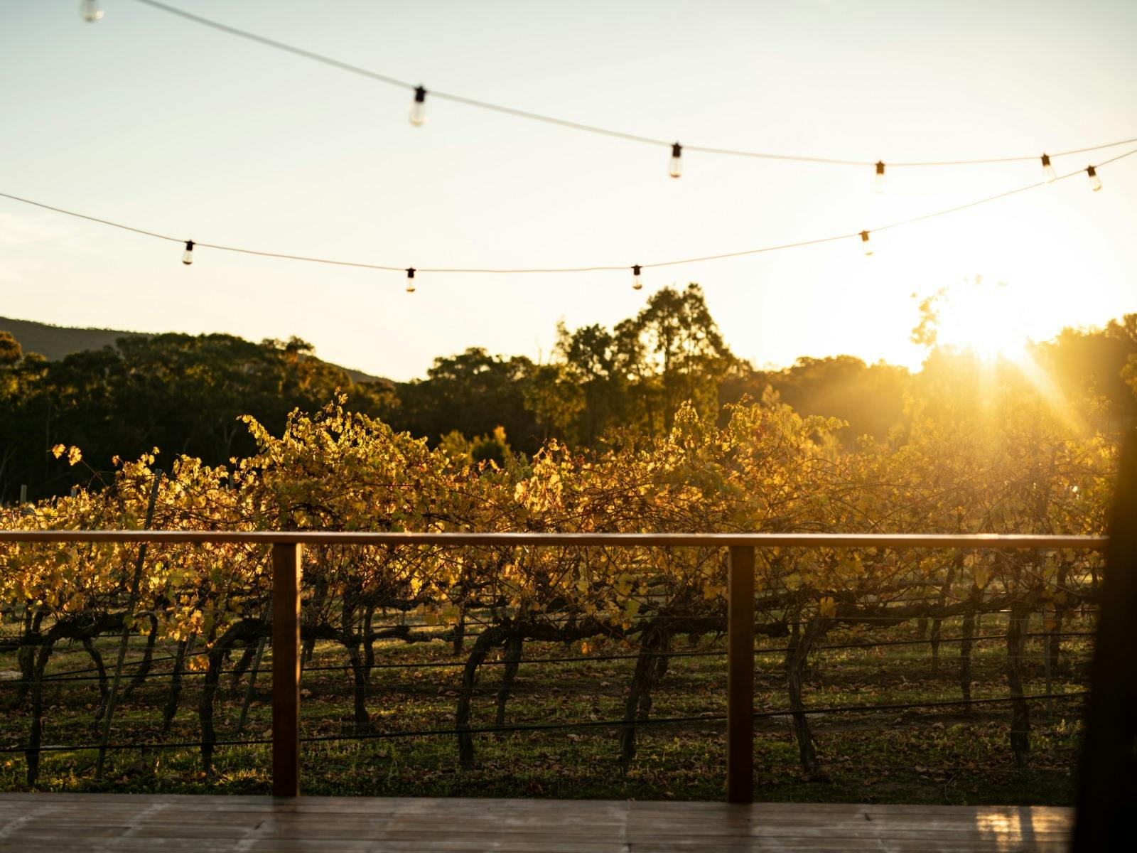 Sunset Views from Balancing Heart Vineyard Deck