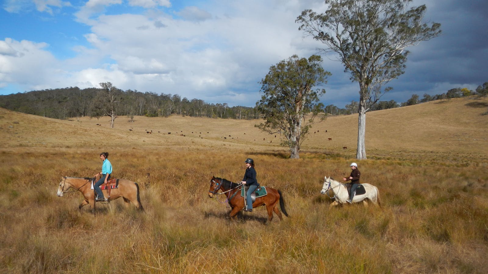 Chapman Valley Horse Riding & Camping