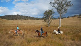 Chapman Valley Horse Riding & Camping