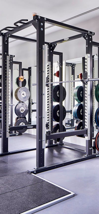 Hale Gym Weights