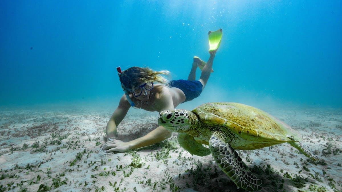 Come face to face with the locals onboard Freedom Fast Cat's Adventure or Combo Tour