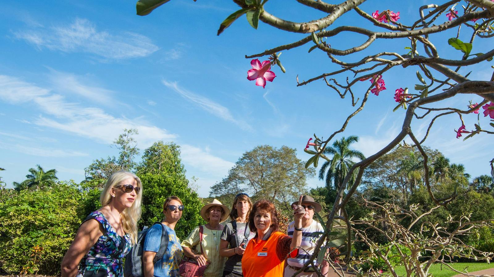 Group viewing a desert rose in bloom