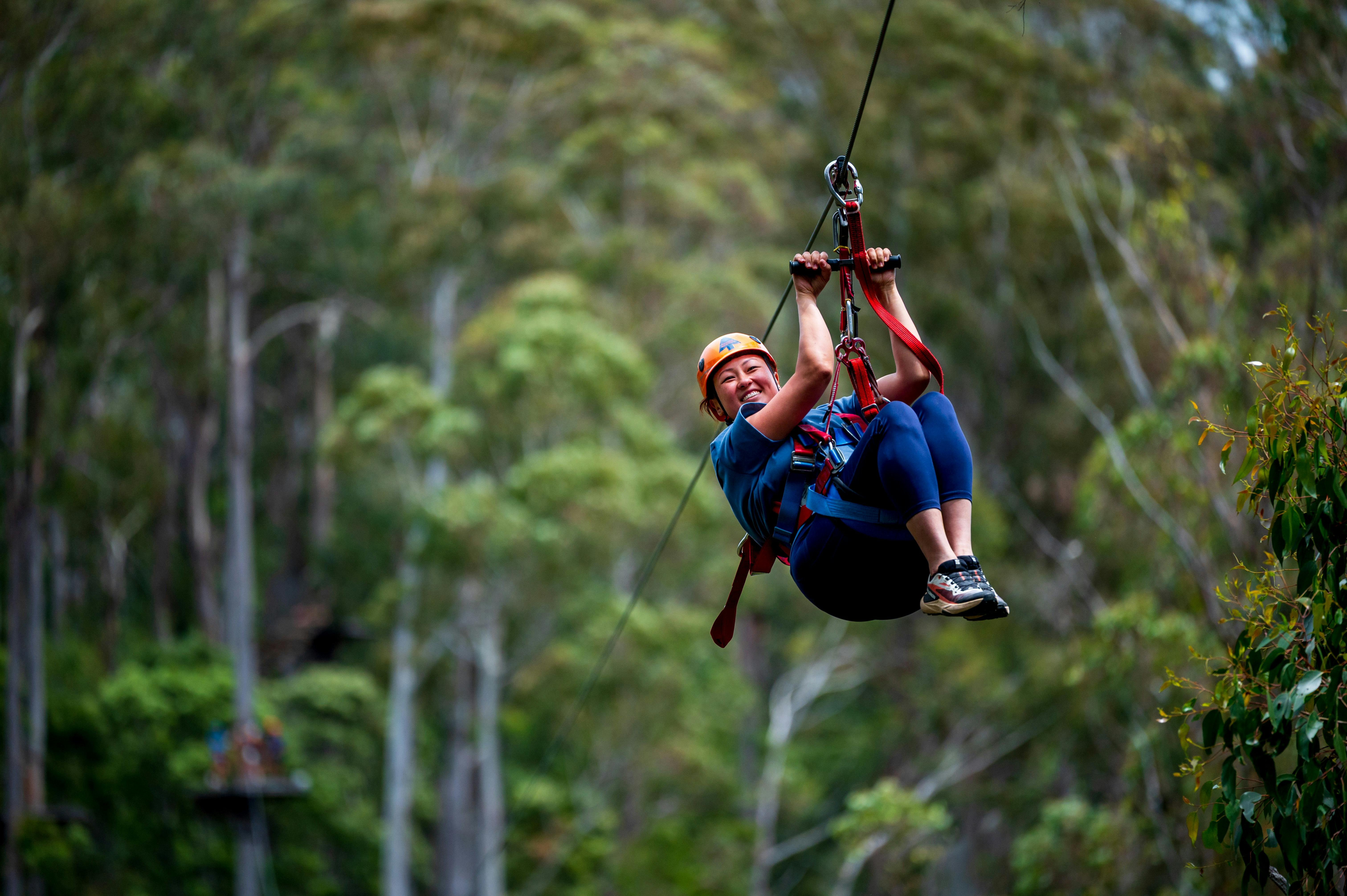 Treetops Hollybank Zipline Tour Family Adventure