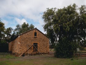 Tarlee image