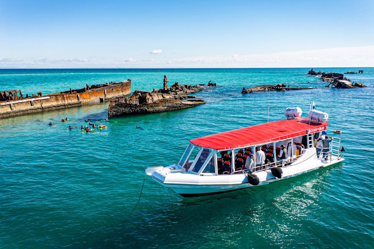 Best of Moreton Bay Island Tour | River to Bay