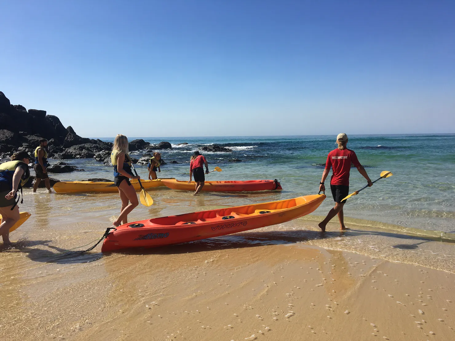 Discover the Ocean and its marine life in Rainbow Beach