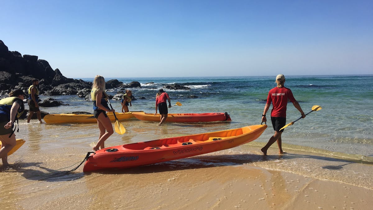 Discover the Ocean and its marine life in Rainbow Beach