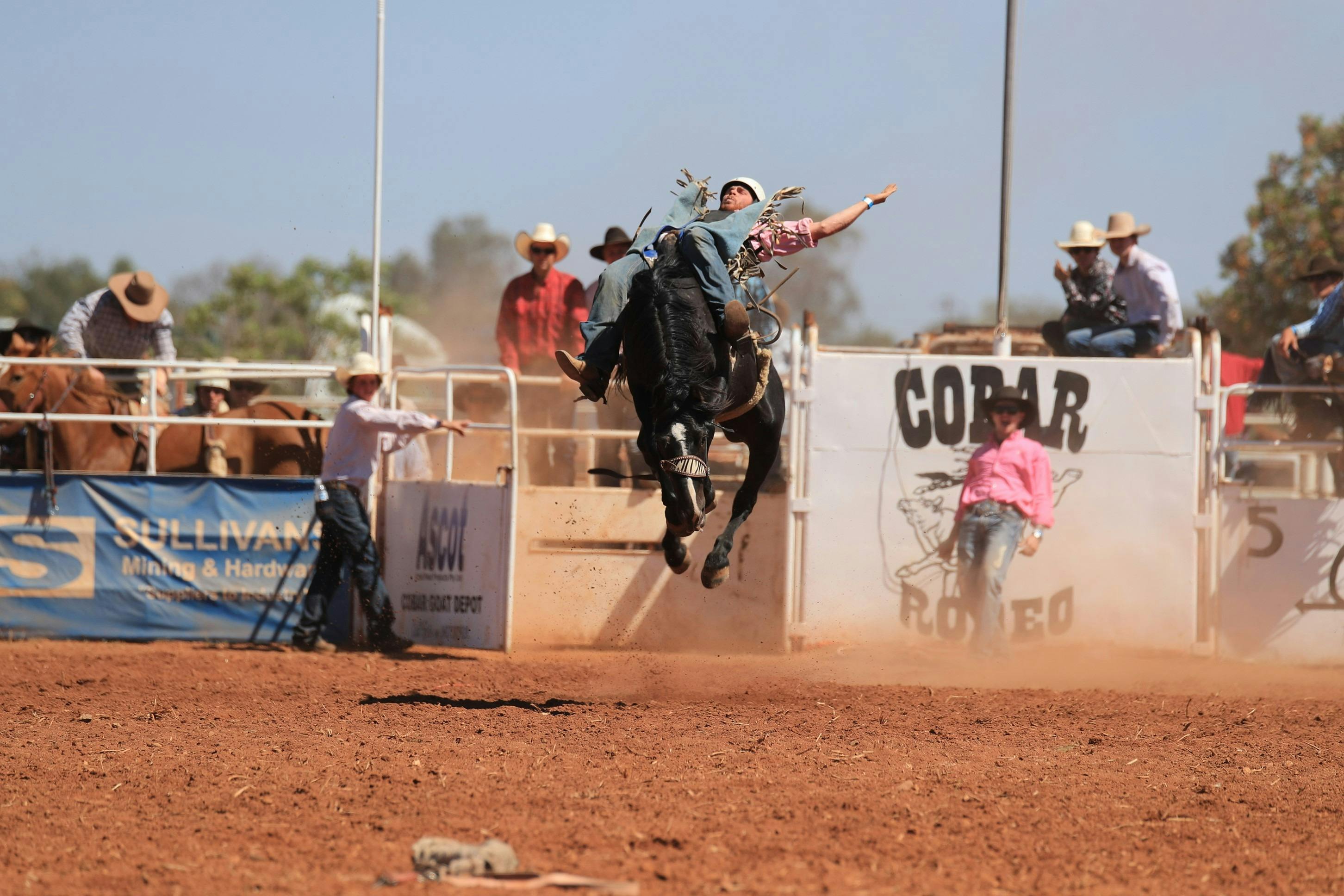 科巴粗獷牲畜牛仔競技表演