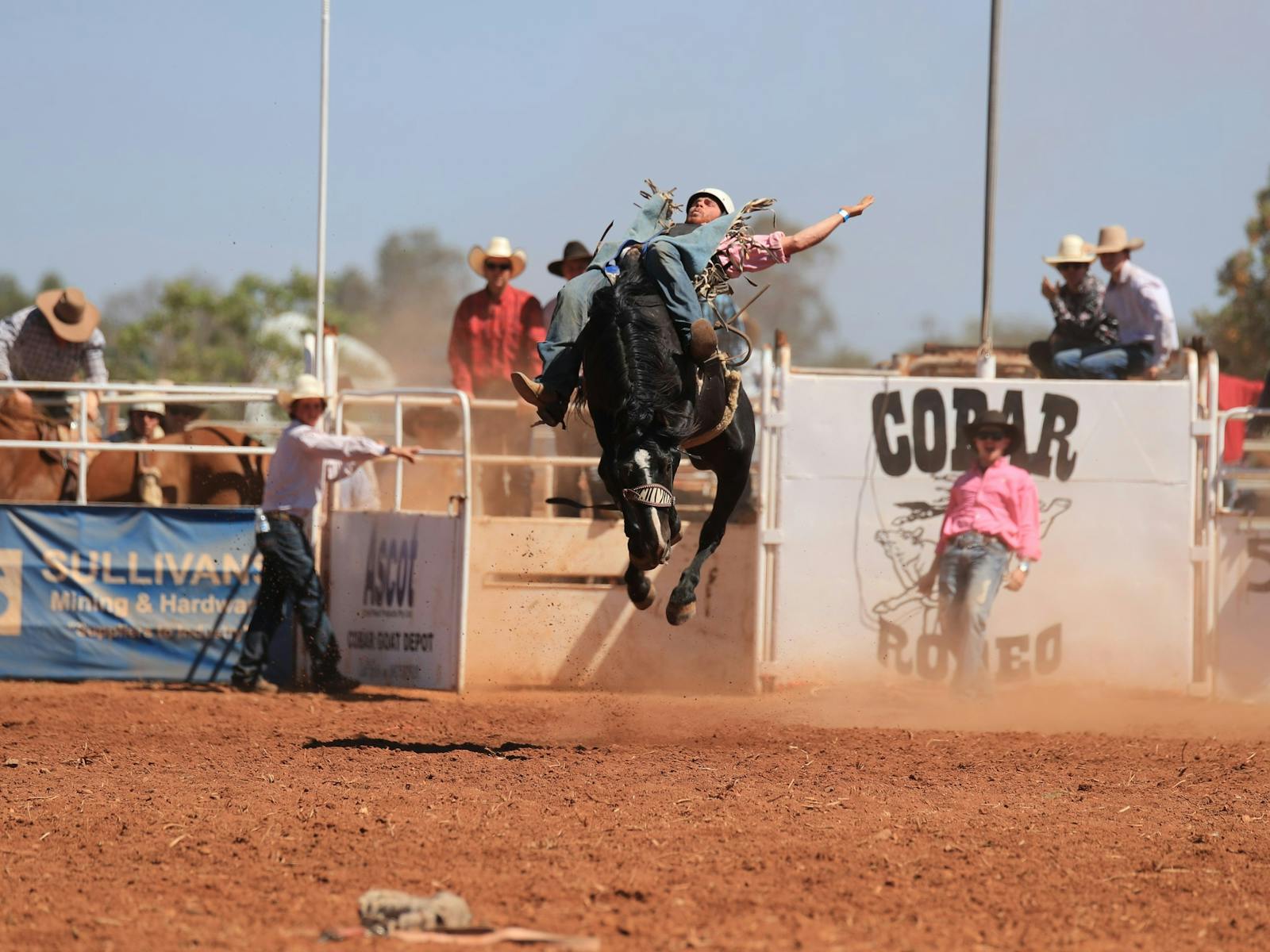 Image for Cobar Rough Stock Rodeo