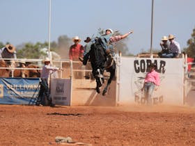 Cobar Rough Stock Rodeo Cover Image