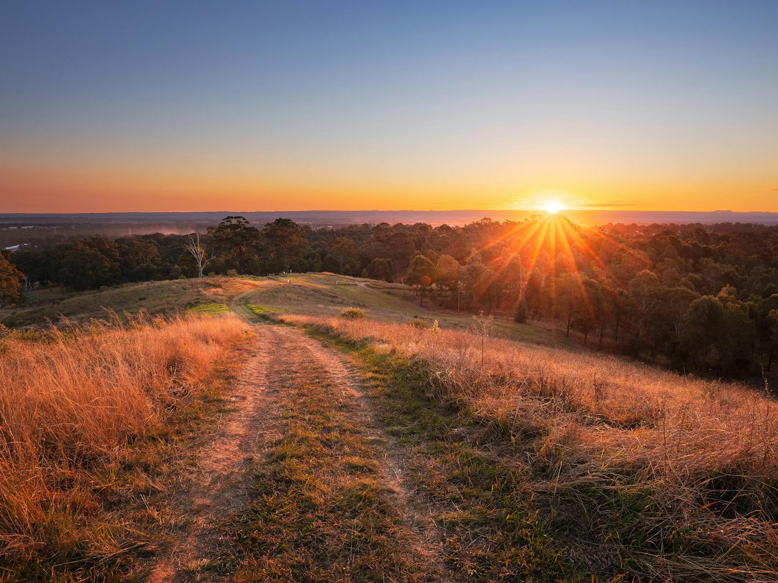 Image for Western Sydney Parklands Exhibition