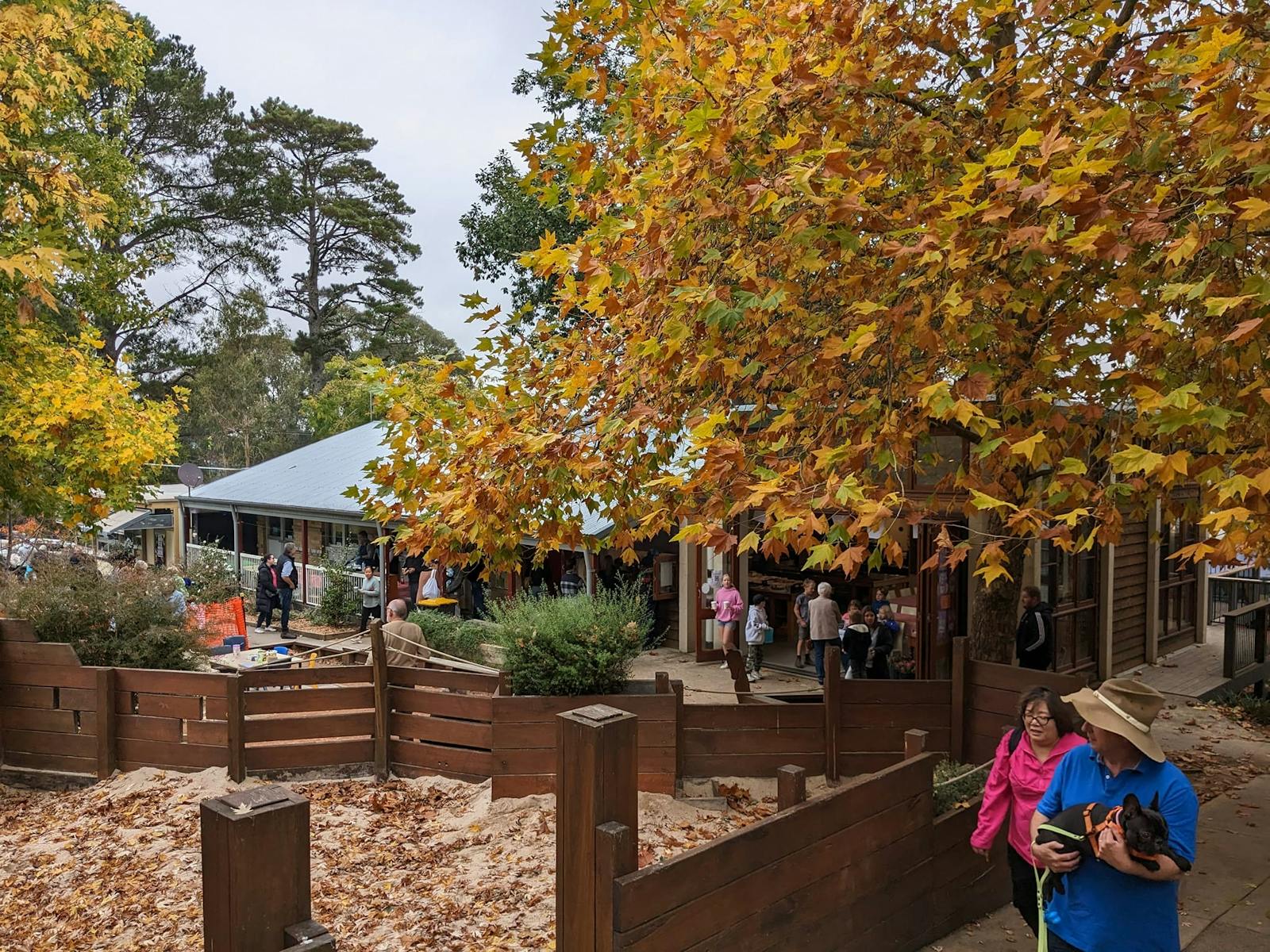 Berrima Schoolyard Markets 2