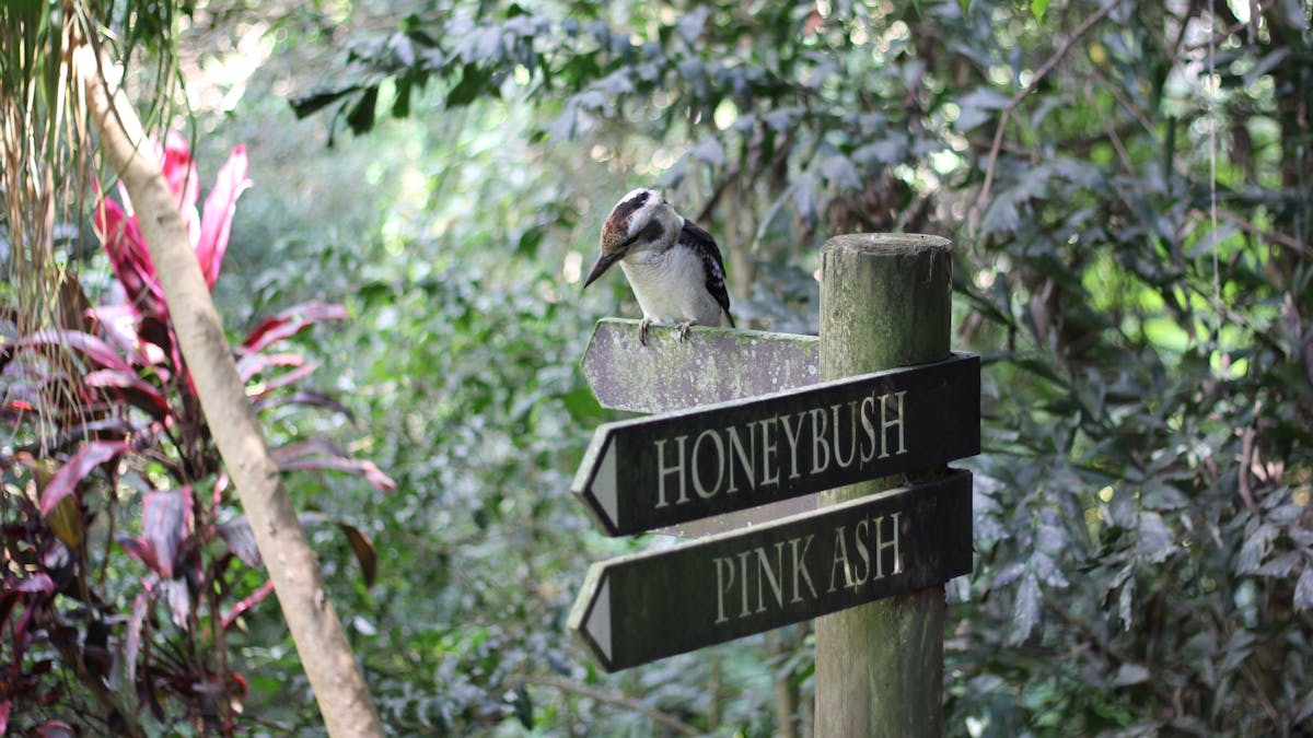 Birdlife is wonderful at The Falls Montville