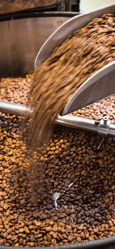 Coffee beans in a large grinder