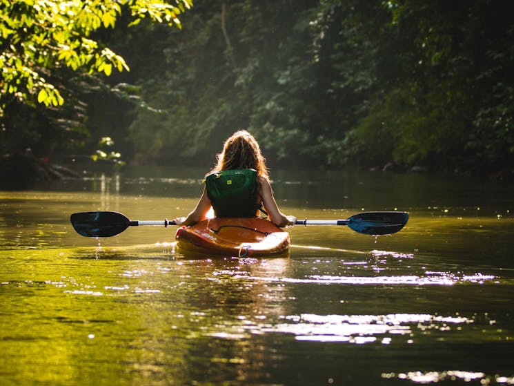 Kangaroo Valley - Kayaks